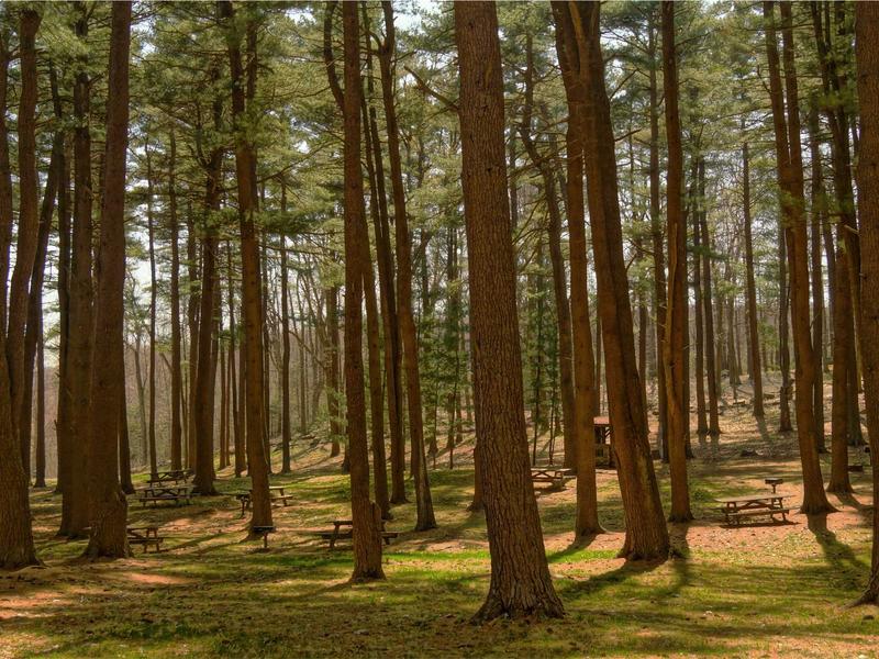sudoku children puzzle