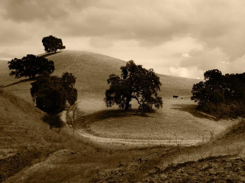 sudoku children puzzle screenshot 5